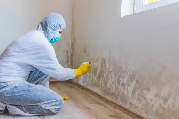 Licensed Mold Testing service in Pompano Beach, FL - WQB Mold Removal