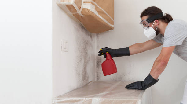 Professional Mold Testing technician working in Pompano Beach, FL